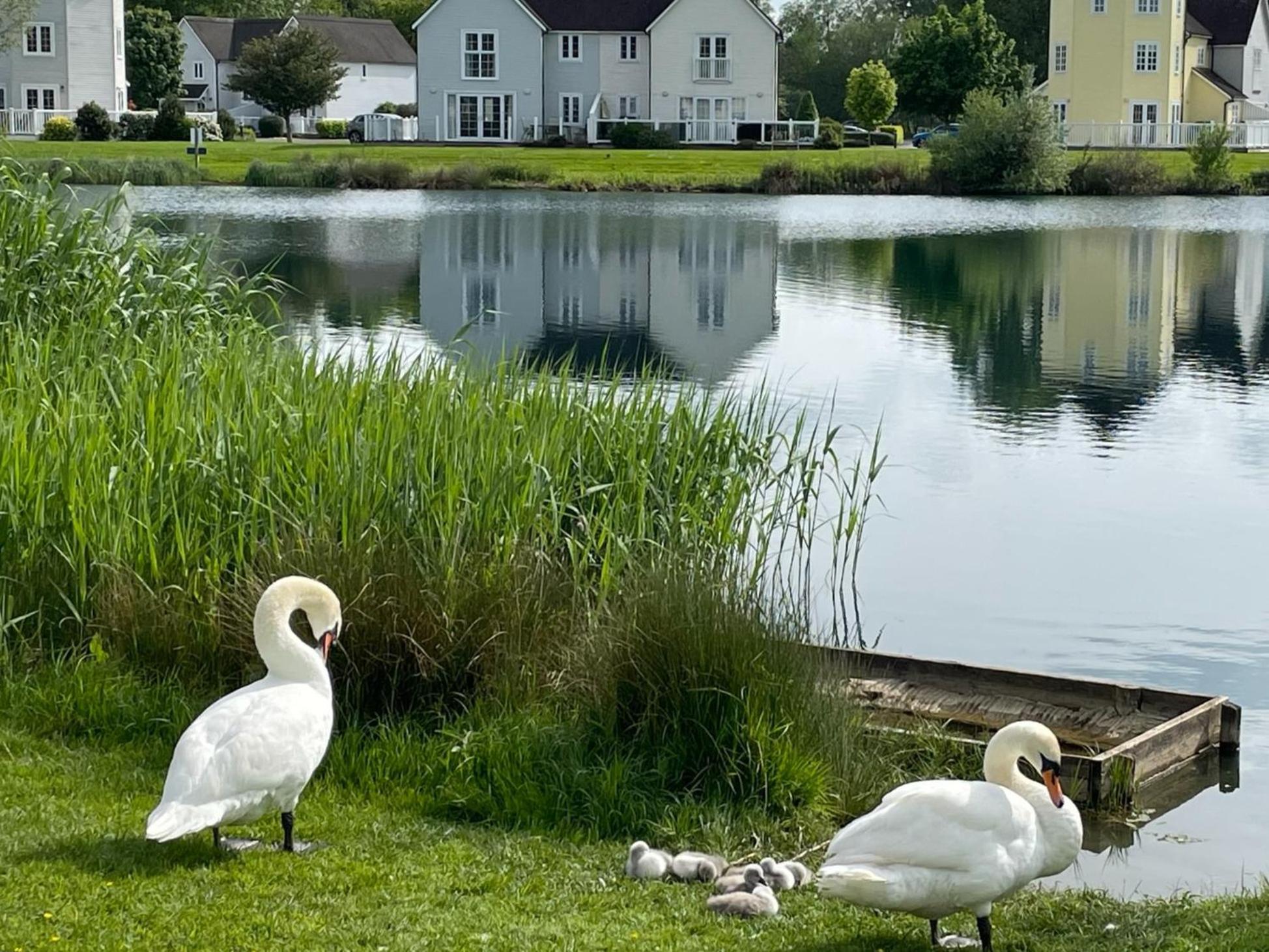 Nyhavn Lakeside Cottage サイレンセスター エクステリア 写真